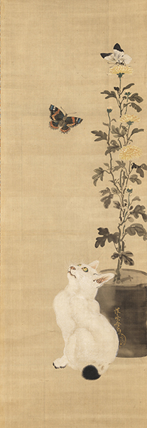 蝶と菊に猫